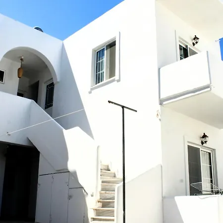 Lyra Tilos *